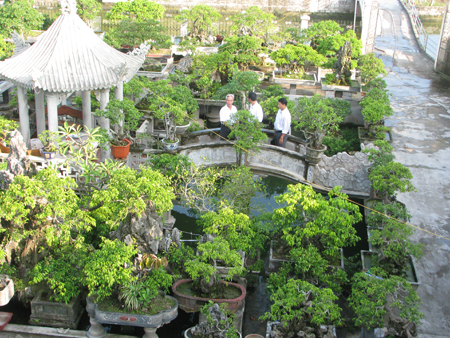 Hội Sinh vật cảnh Hưng Yên Phấn đấu trở thành ngành kinh tế sinh thái có giá trị cao